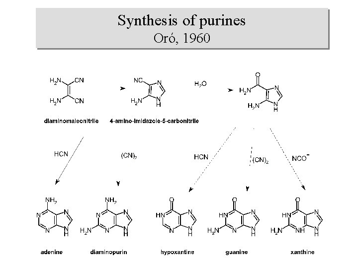 Synthesis of purines Oró, 1960 