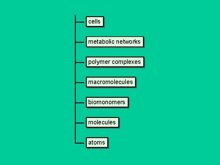cells metabolic networks polymer complexes macromolecules biomonomers molecules atoms 