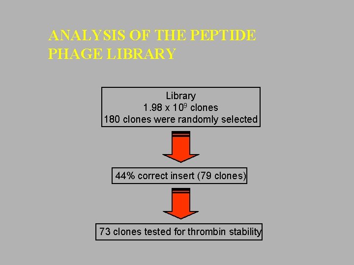 ANALYSIS OF THE PEPTIDE PHAGE LIBRARY Library 1. 98 x 109 clones 180 clones