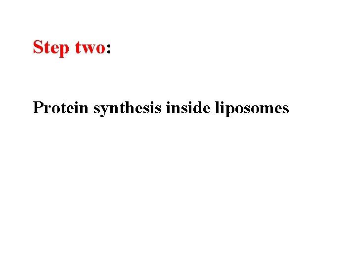 Step two: Protein synthesis inside liposomes 