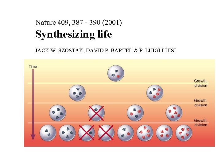 Nature 409, 387 - 390 (2001) Synthesizing life JACK W. SZOSTAK, DAVID P. BARTEL