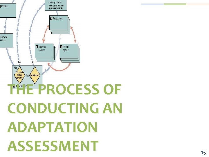 THE PROCESS OF CONDUCTING AN ADAPTATION ASSESSMENT 15 