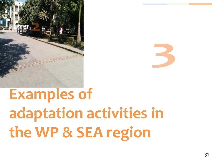 Examples of adaptation activities in the WP & SEA region 31 