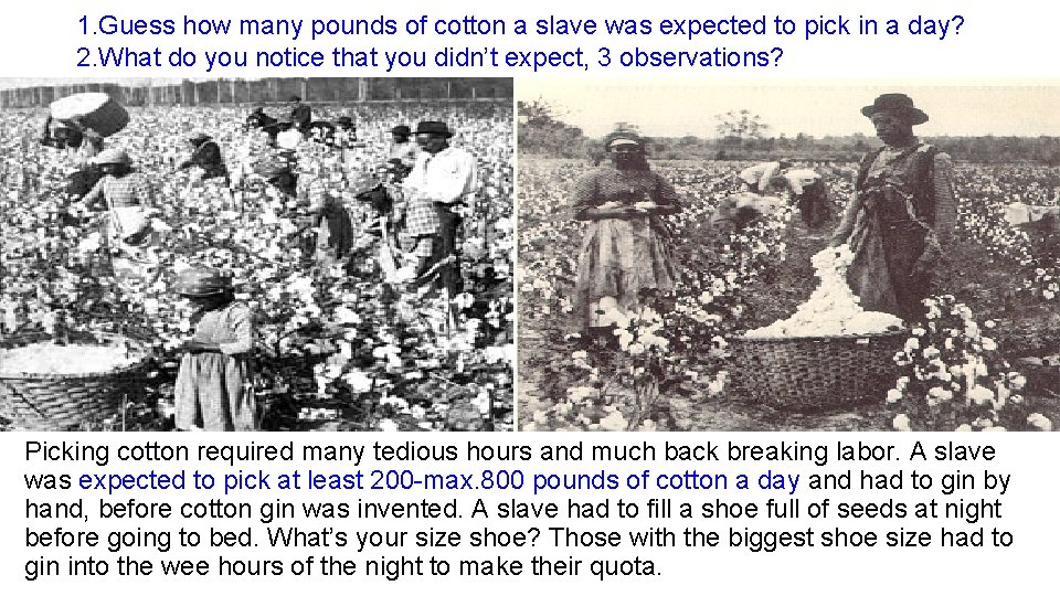 1. Guess how many pounds of cotton a slave was expected to pick in