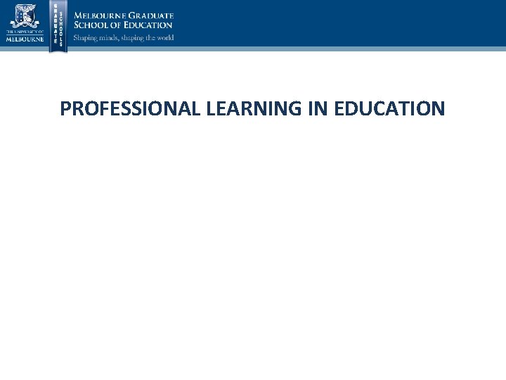 PROFESSIONAL LEARNING IN EDUCATION 