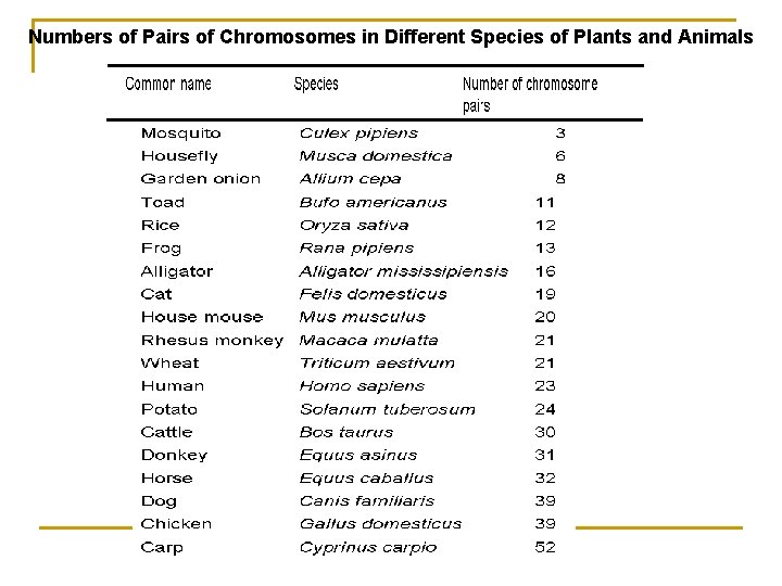 Numbers of Pairs of Chromosomes in Different Species of Plants and Animals 