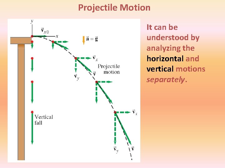 Projectile Motion It can be understood by analyzing the horizontal and vertical motions separately.