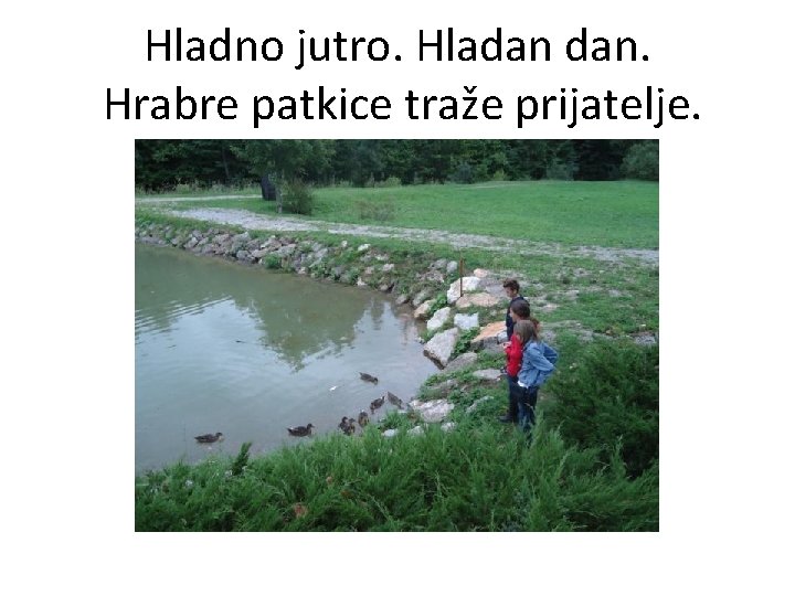 Hladno jutro. Hladan dan. Hrabre patkice traže prijatelje. 