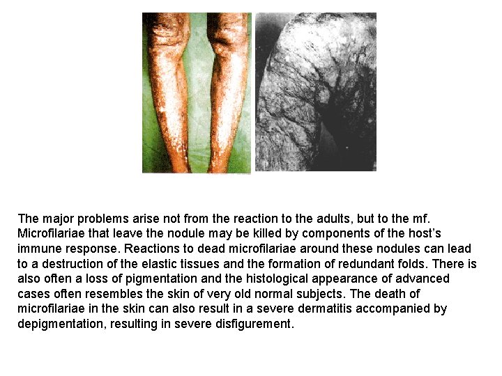 The major problems arise not from the reaction to the adults, but to the