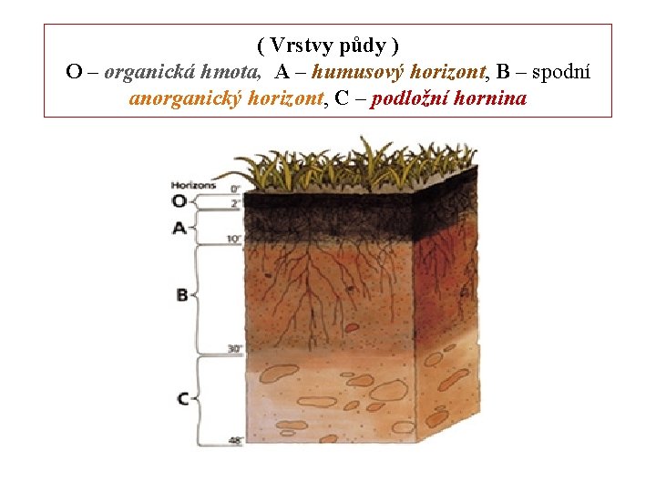( Vrstvy půdy ) O – organická hmota, A – humusový horizont, B –