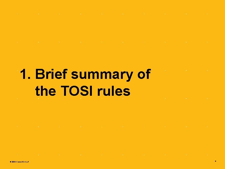 1. Brief summary of the TOSI rules © 2019 Crowe BGK LLP 4 