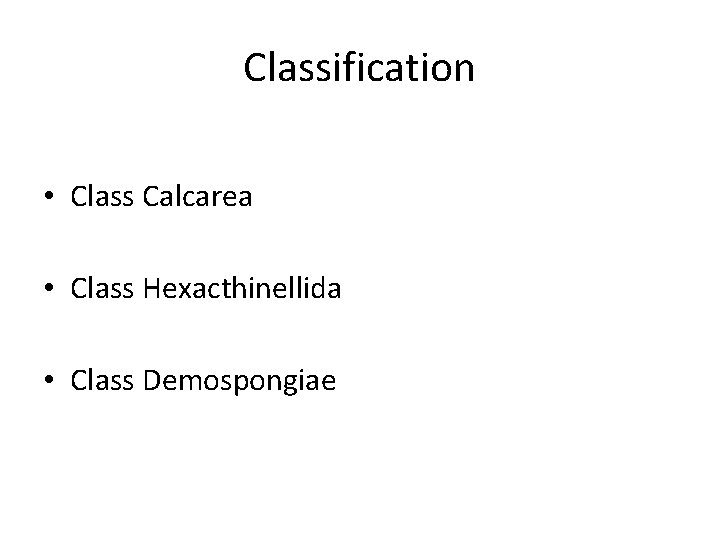 Classification • Class Calcarea • Class Hexacthinellida • Class Demospongiae 