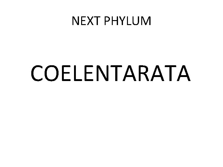 NEXT PHYLUM COELENTARATA 