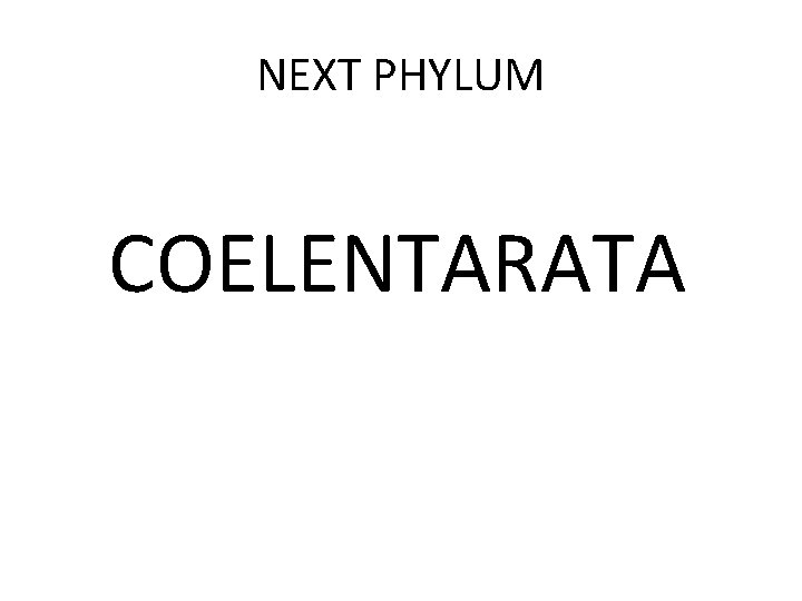 NEXT PHYLUM COELENTARATA 