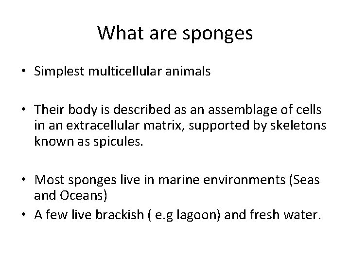 What are sponges • Simplest multicellular animals • Their body is described as an