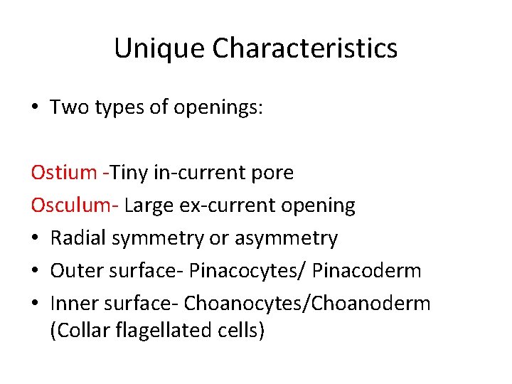 Unique Characteristics • Two types of openings: Ostium -Tiny in-current pore Osculum- Large ex-current