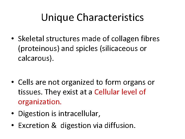 Unique Characteristics • Skeletal structures made of collagen fibres (proteinous) and spicles (silicaceous or