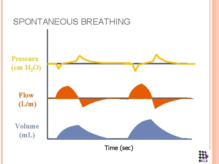 SPONTANEOUS BREATHING Pressure (cm H 2 O) Flow (L/m) Volume (m. L) Time (sec)