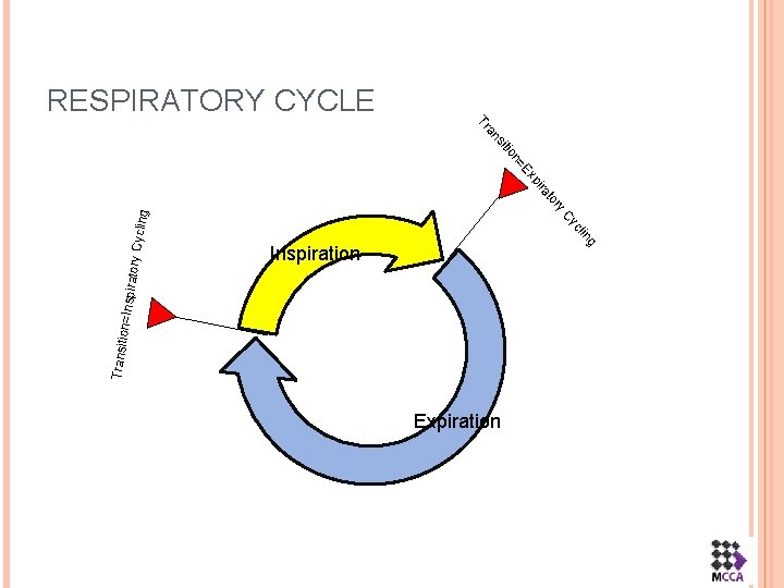 RESPIRATORY CYCLE ycling ng cli Cy Transitio n=Inspir atory C ry to ra pi