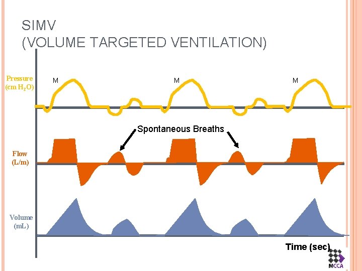 SIMV (VOLUME TARGETED VENTILATION) Pressure (cm H 2 O) M M M Spontaneous Breaths