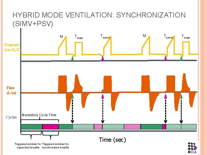 HYBRID MODE VENTILATION: SYNCHRONIZATION (SIMV+PSV) M Tsupp Tsynch Pressure (cm H 2 O) Flow