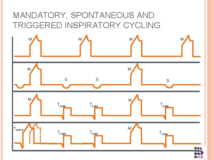 MANDATORY, SPONTANEOUS AND TRIGGERED INSPIRATORY CYCLING M M S S M Tsynch M M