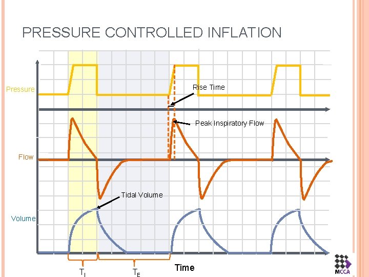 PRESSURE CONTROLLED INFLATION Rise Time Pressure Peak Inspiratory Flow Tidal Volume TI TE Time