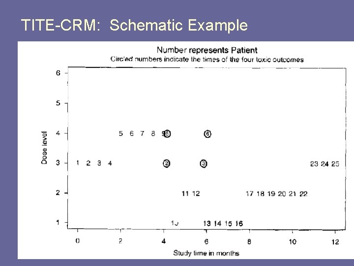 TITE-CRM: Schematic Example TITE-CRM: Schematic Example