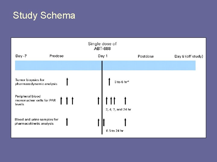 Study Schema Study Schema