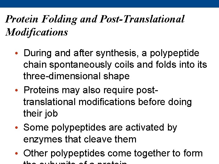 Protein Folding and Post-Translational Modifications • During and after synthesis, a polypeptide chain spontaneously