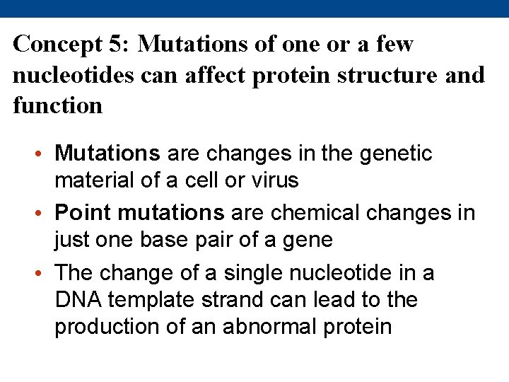 Concept 5: Mutations of one or a few nucleotides can affect protein structure and