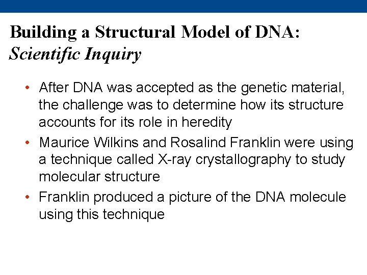 Building a Structural Model of DNA: Scientific Inquiry • After DNA was accepted as