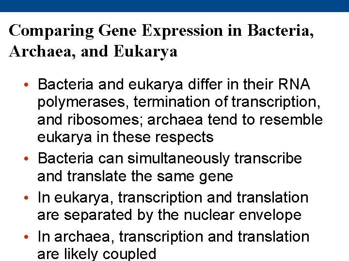 Comparing Gene Expression in Bacteria, Archaea, and Eukarya • Bacteria and eukarya differ in