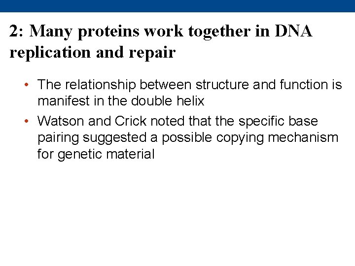 2: Many proteins work together in DNA replication and repair • The relationship between