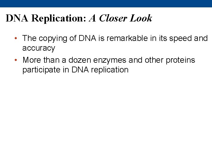 DNA Replication: A Closer Look • The copying of DNA is remarkable in its