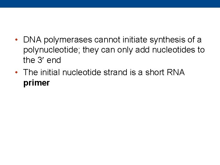  • DNA polymerases cannot initiate synthesis of a polynucleotide; they can only add