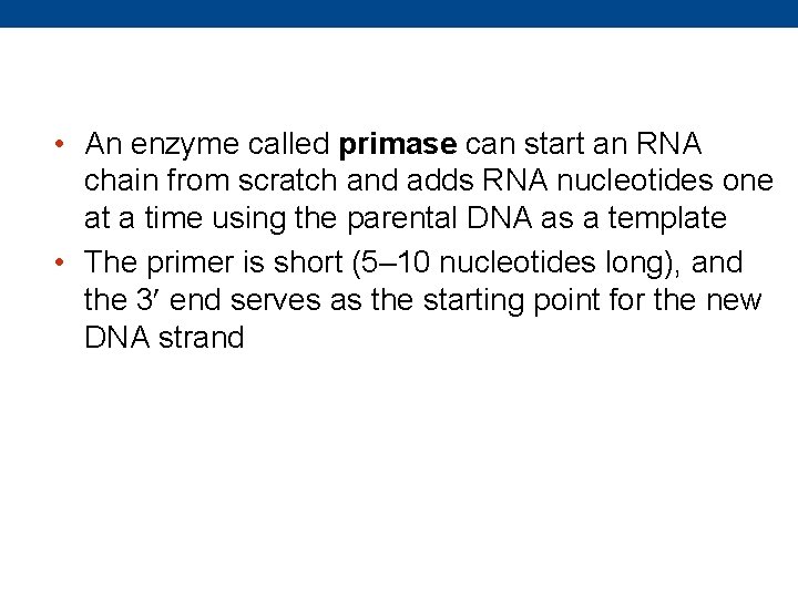  • An enzyme called primase can start an RNA chain from scratch and