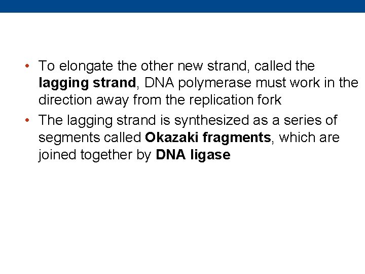  • To elongate the other new strand, called the lagging strand, DNA polymerase