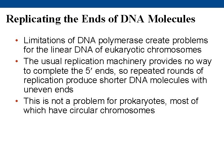 Replicating the Ends of DNA Molecules • Limitations of DNA polymerase create problems for