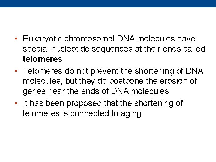  • Eukaryotic chromosomal DNA molecules have special nucleotide sequences at their ends called