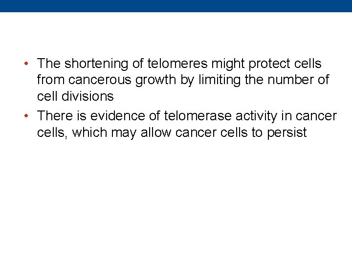  • The shortening of telomeres might protect cells from cancerous growth by limiting