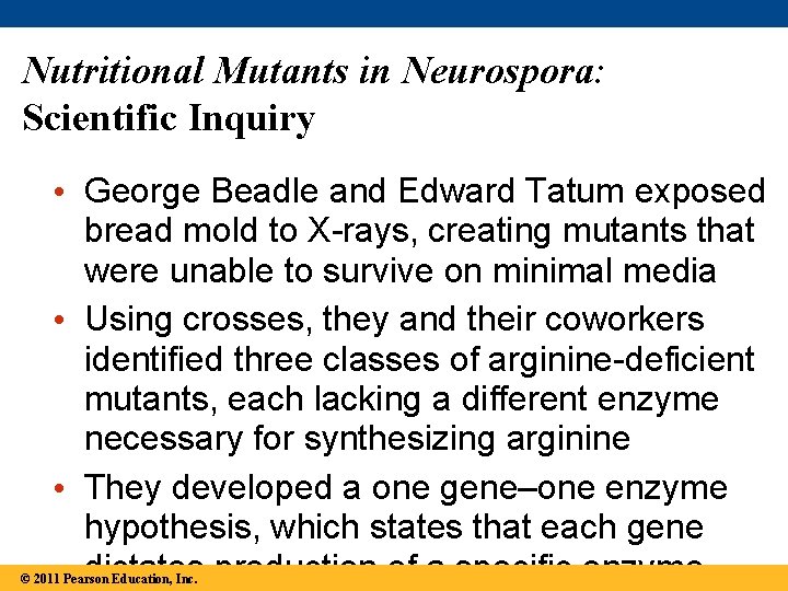 Nutritional Mutants in Neurospora: Scientific Inquiry • George Beadle and Edward Tatum exposed bread