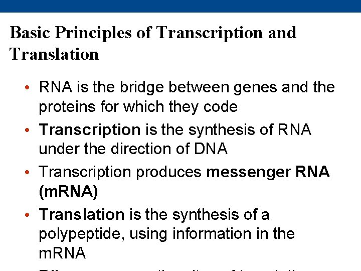 Basic Principles of Transcription and Translation • RNA is the bridge between genes and