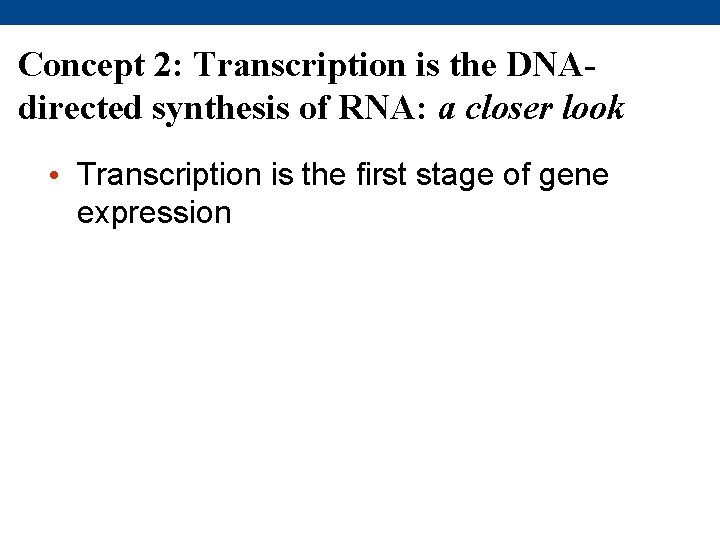 Concept 2: Transcription is the DNAdirected synthesis of RNA: a closer look • Transcription