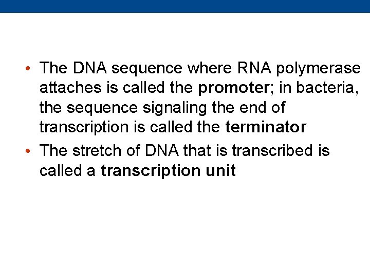  • The DNA sequence where RNA polymerase attaches is called the promoter; in