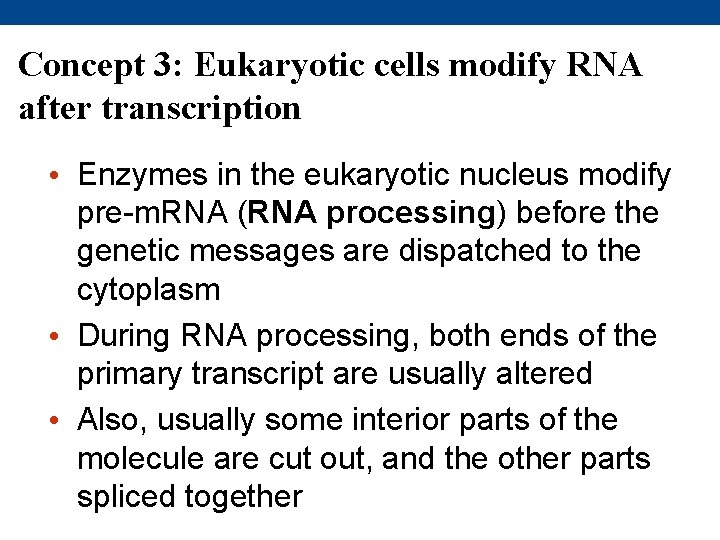 Concept 3: Eukaryotic cells modify RNA after transcription • Enzymes in the eukaryotic nucleus