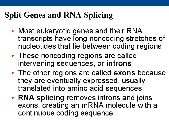 Split Genes and RNA Splicing • Most eukaryotic genes and their RNA transcripts have