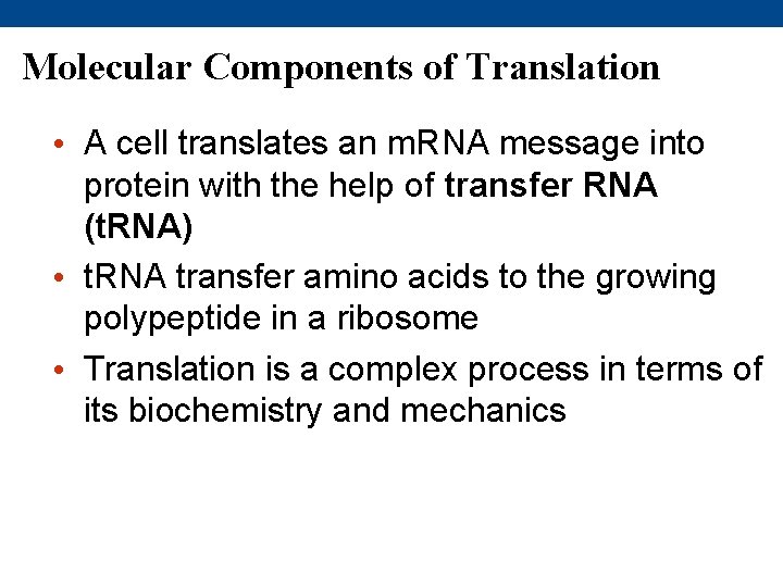 Molecular Components of Translation • A cell translates an m. RNA message into protein