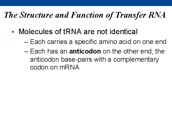 The Structure and Function of Transfer RNA • Molecules of t. RNA are not