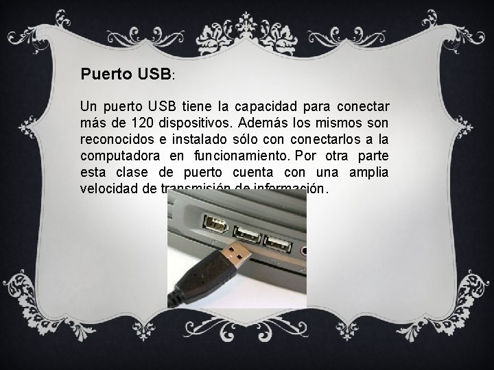 Puerto USB: Un puerto USB tiene la capacidad para conectar más de 120 dispositivos.